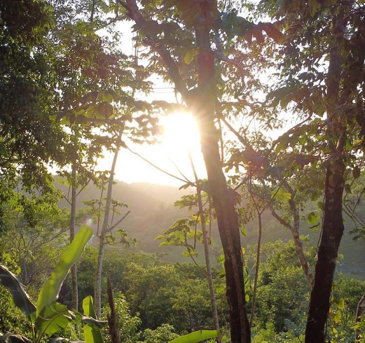 Villa Cayo ซานอิกนาซิโอ ภายนอก รูปภาพ